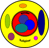 Figure 4: