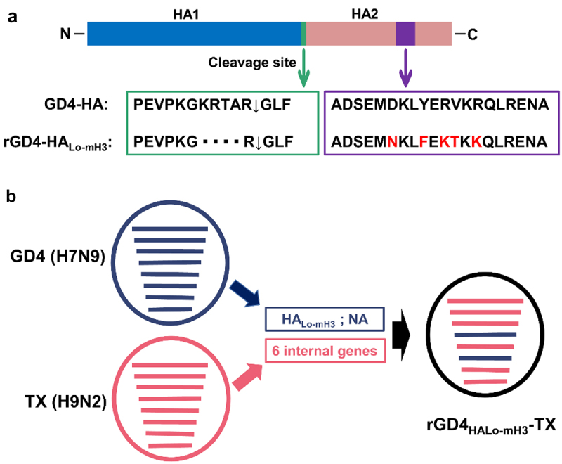 Figure 3.