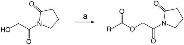 Scheme 2.