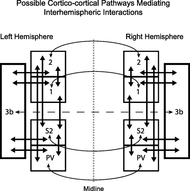 Figure 9.