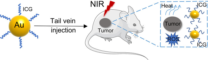 Figure 4