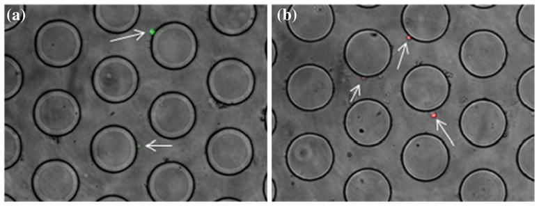 Fig. 5