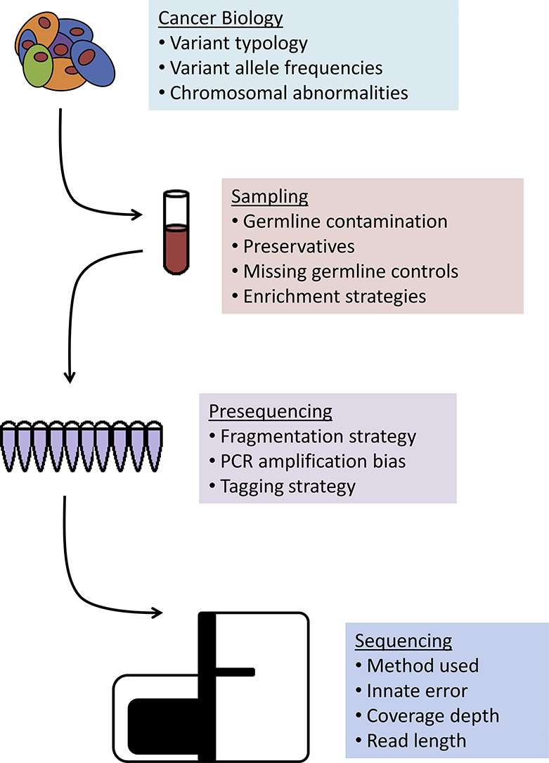 Unlabelled Image