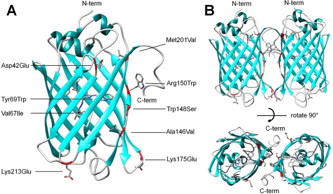 Fig. 3