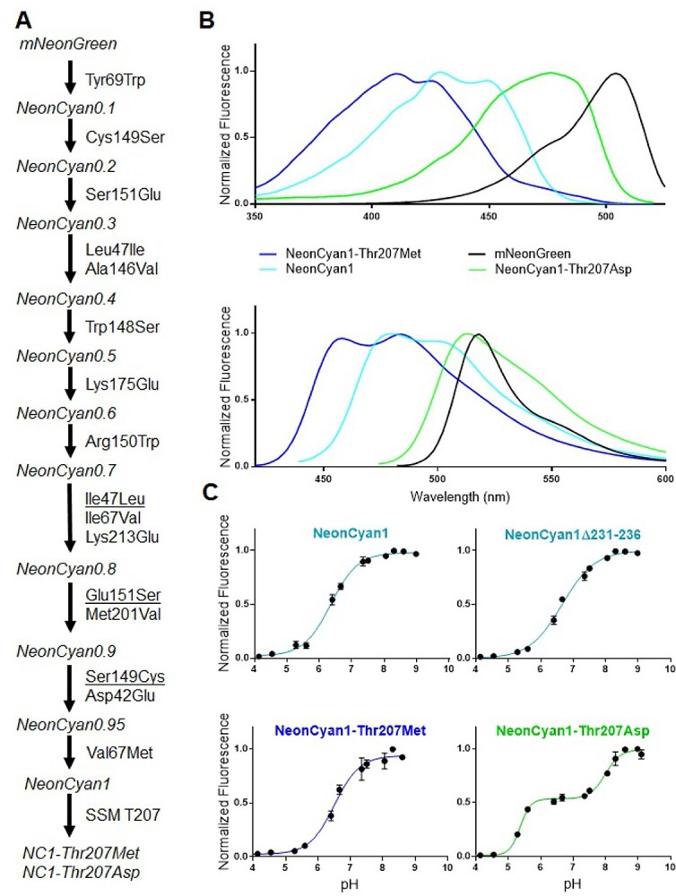 Fig. 2