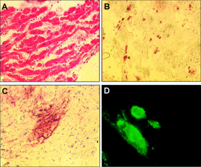 Figure 2  