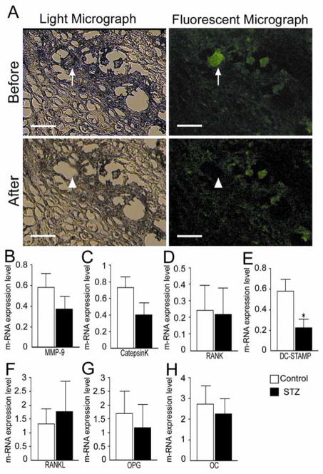 FIG. 6