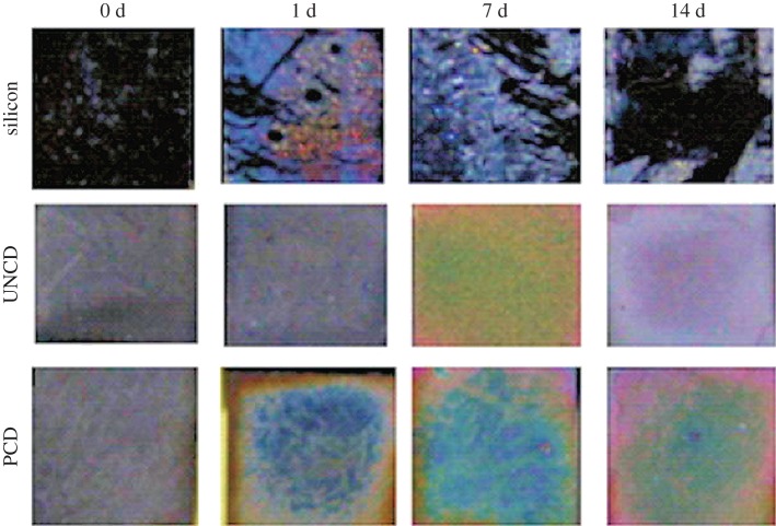 Figure 4.