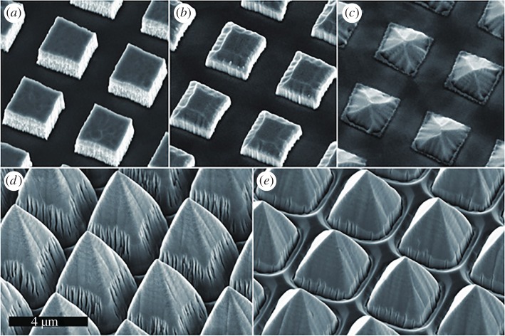 Figure 1.
