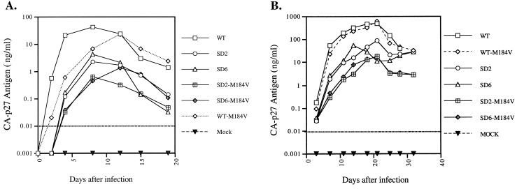 FIG. 2.