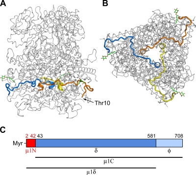 FIG. 1.