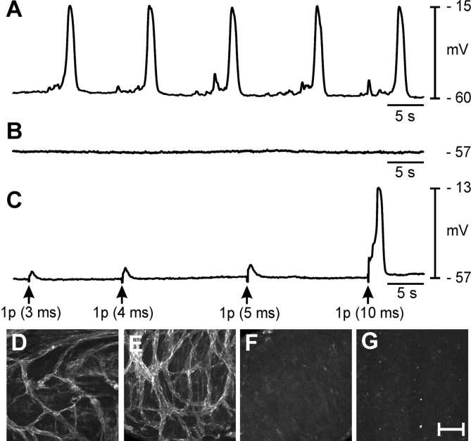 FIG. 5.