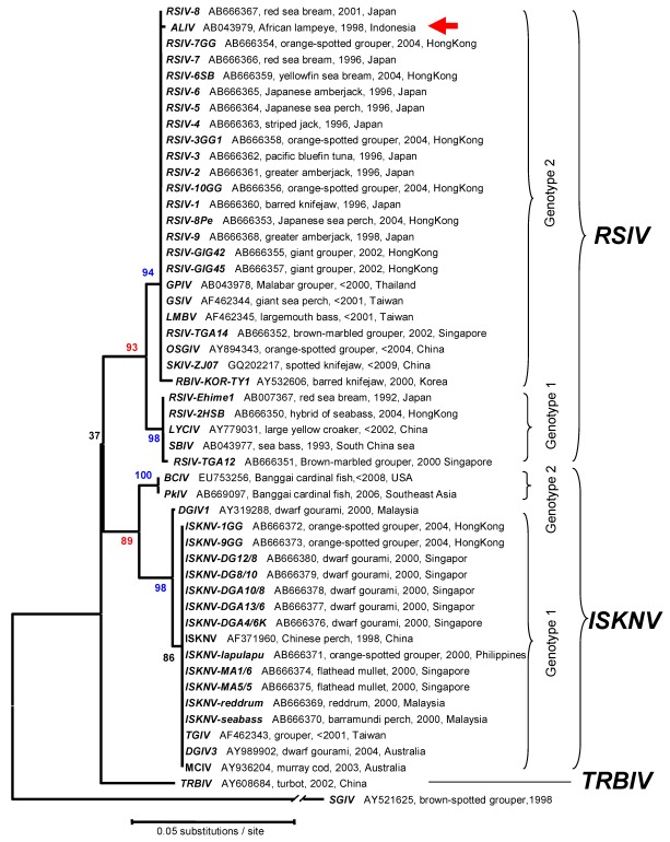 Figure 7