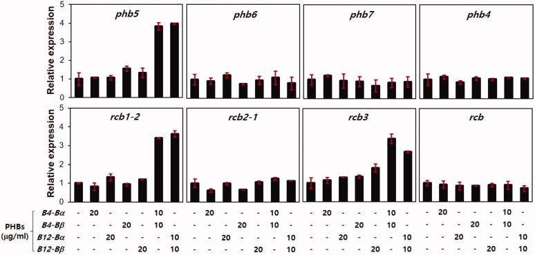 Figure 4.