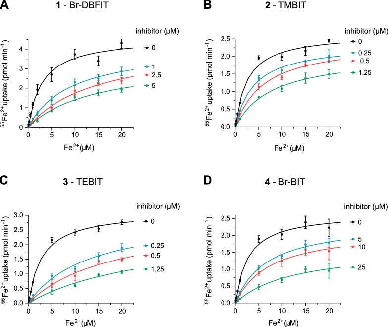 Figure 1—figure supplement 3.