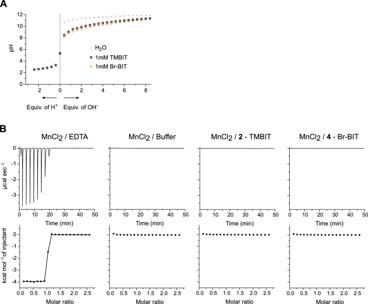 Figure 1—figure supplement 1.