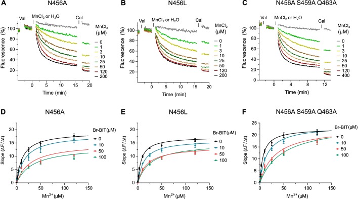 Figure 4—figure supplement 2.