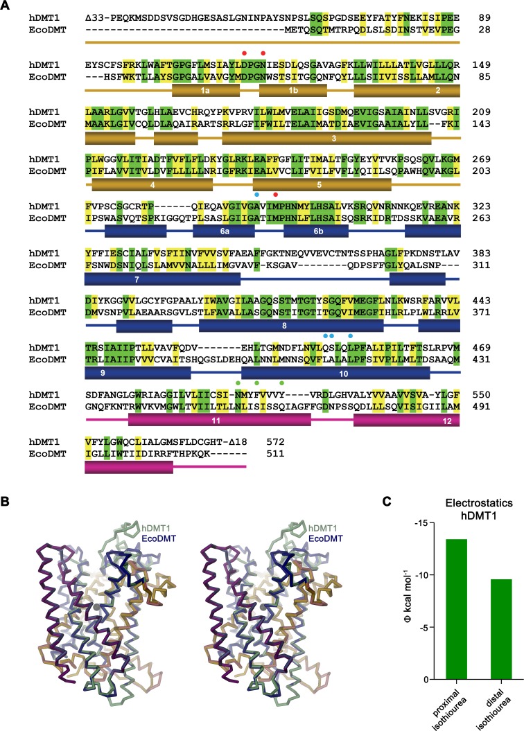 Figure 3—figure supplement 2.