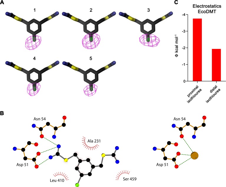 Figure 3—figure supplement 1.