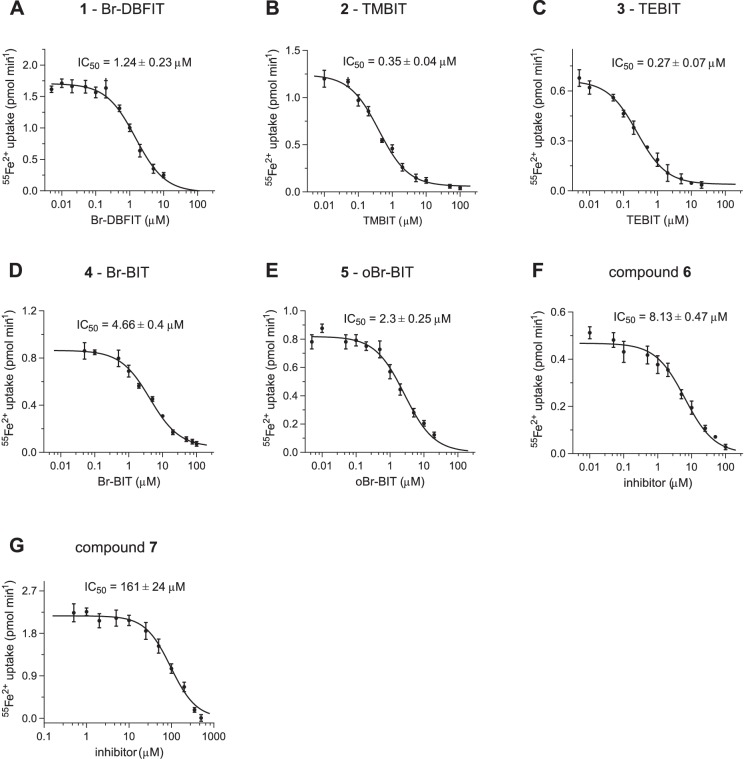 Figure 1—figure supplement 2.