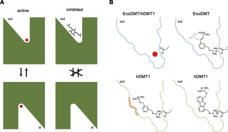 Figure 6.