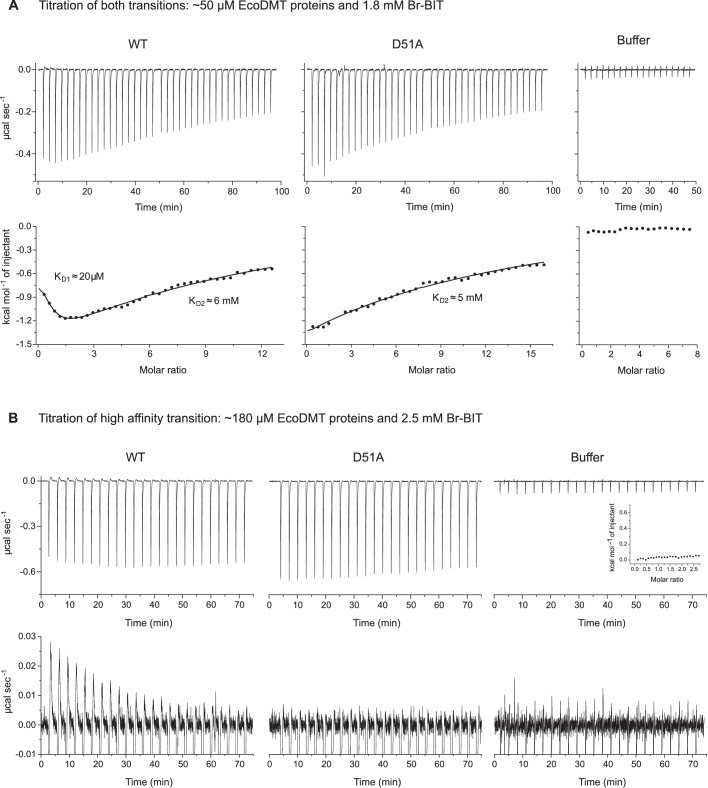 Figure 4—figure supplement 1.