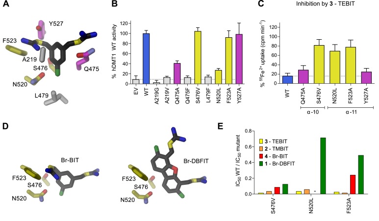 Figure 5.