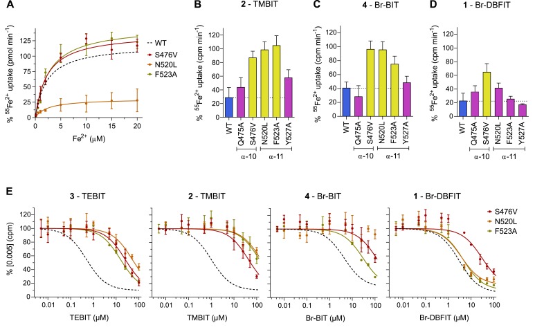 Figure 5—figure supplement 1.