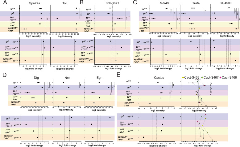 Figure 2—figure supplement 1.