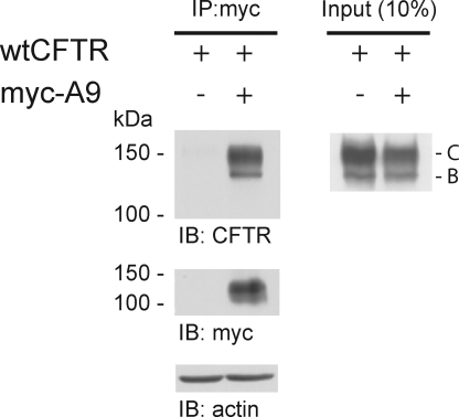 Figure 11.