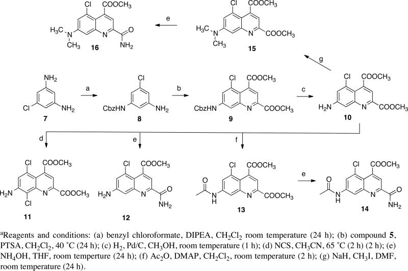 Scheme 2