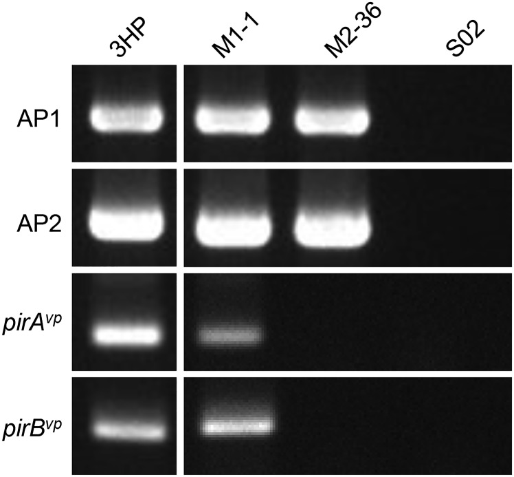 Fig. S3.