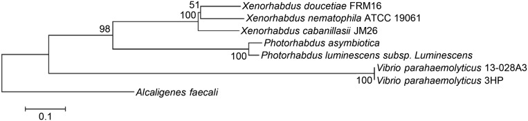 Fig. S7.