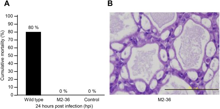 Fig. S4.