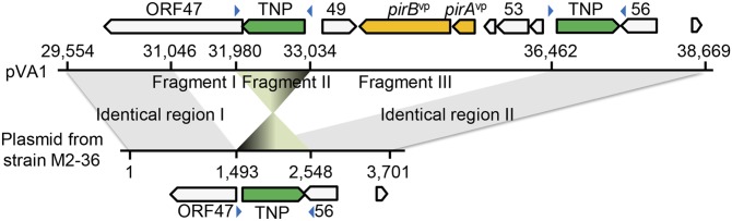 Fig. 3.