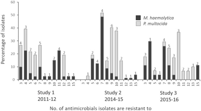 FIGURE 3