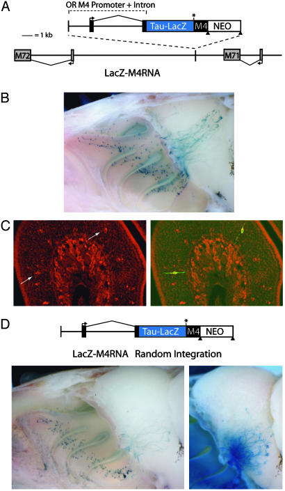 Fig. 4.