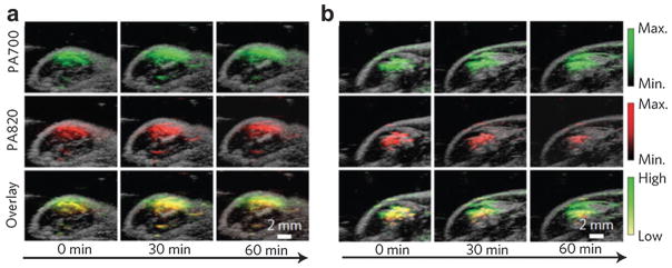 Fig. 33