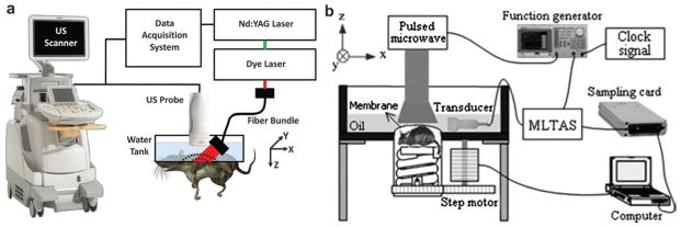 Fig. 3