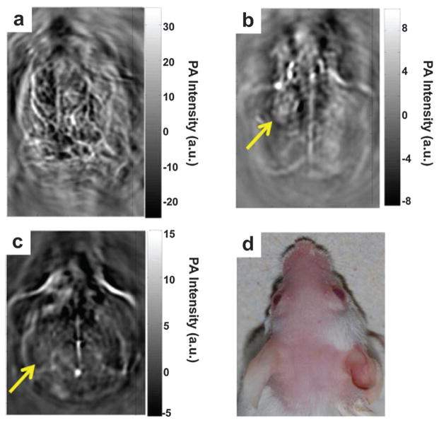 Fig. 25