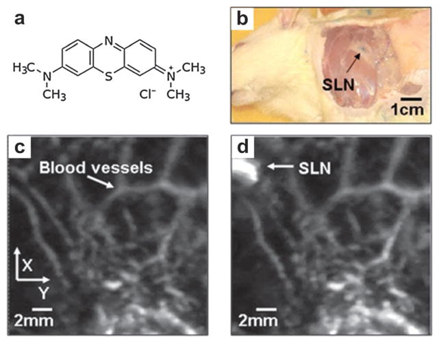 Fig. 40