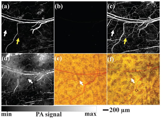 Fig. 41