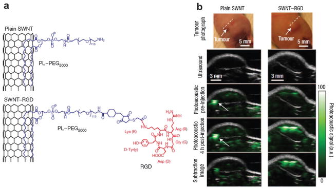 Fig. 29