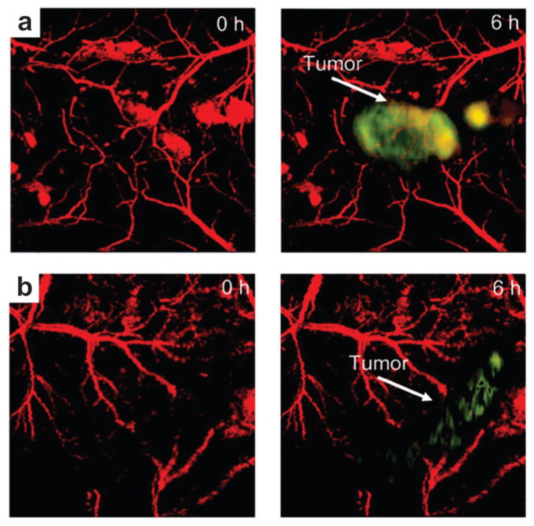 Fig. 14