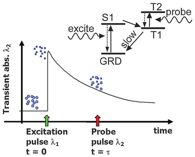 Fig. 9