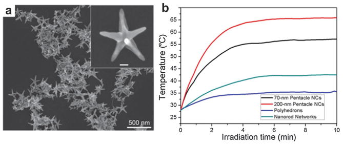 Fig. 20