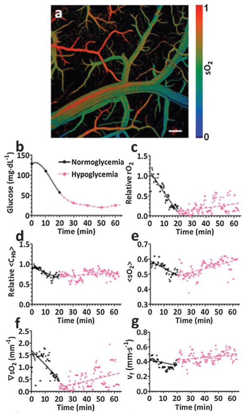 Fig. 10