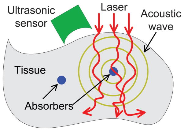 Fig. 1