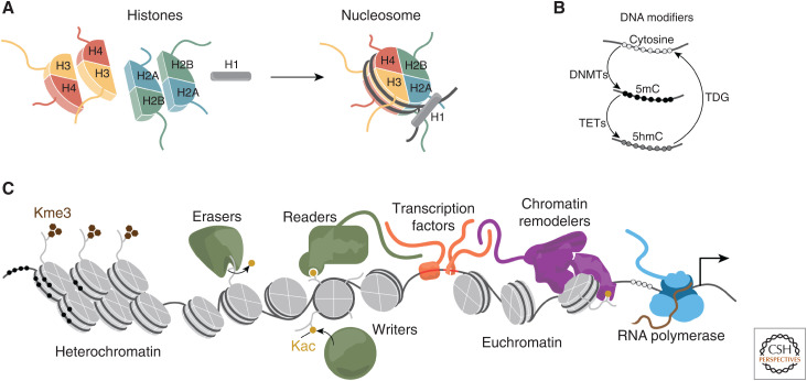 Figure 2.