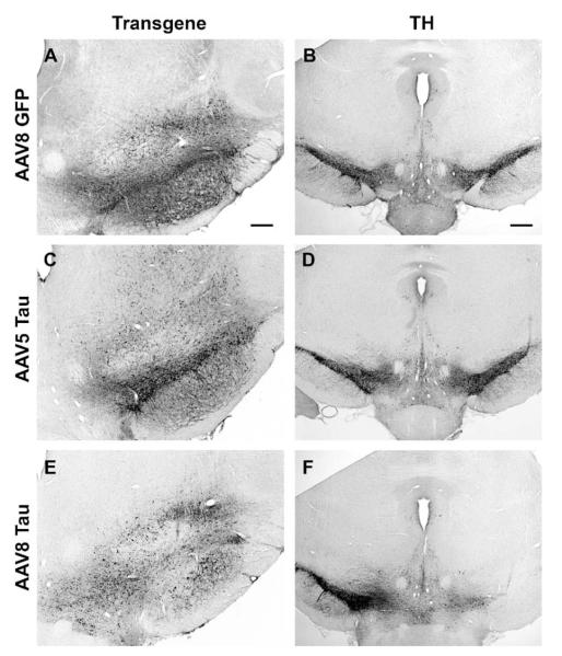 FIG. 7